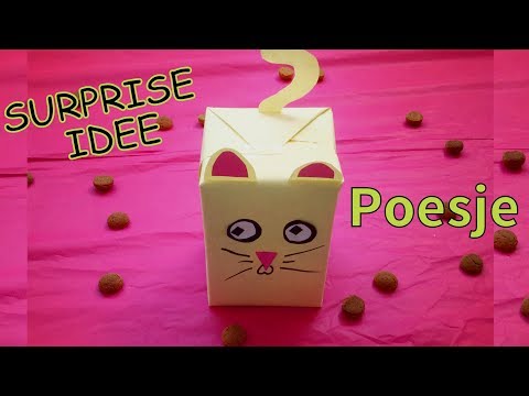 🎁 💕 DIY SINTERKLAAS SURPRISE inpak idee: POES! |  Sinterklaas knutselen