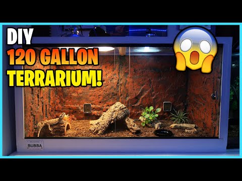 DIY REPTILE TERRARIUM! | 120 gallons! Bearded Dragon Setup