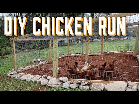 DIY Chicken Run