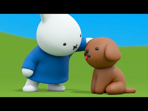 My favourite dog | Miffy song