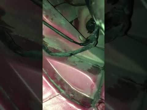 Citroën Rain Water Leak Fix