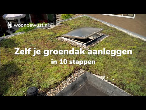 Zelf je groene dak aanleggen in 10 stappen (sedumdak)