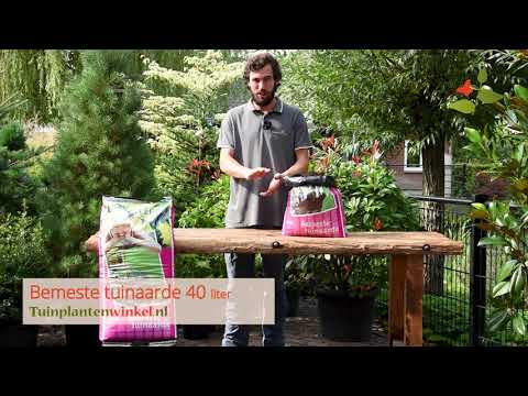 Hoog je border op met Bemeste Tuinaarde