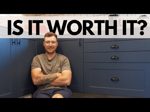 IKEA kitchen custom fronts | Long-term review of Dendra Doors