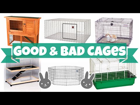 Good vs Bad Rabbit Cages