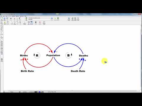 Vensim Causal Loop Diagramming