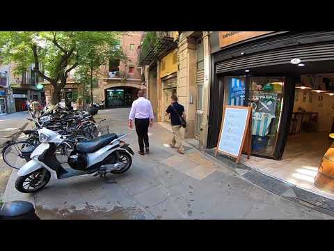 Spain -  From Malgart de Mar to Barcelona (train R1 Line)