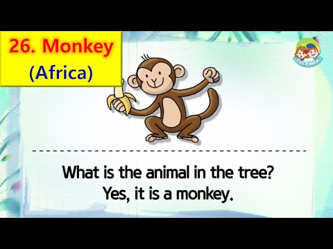 80 Animals | Unit 26 - Africa | Monkey