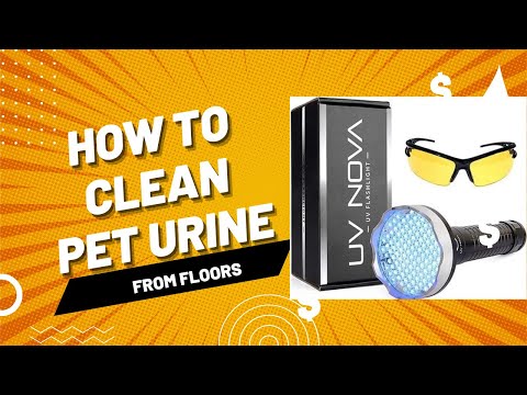 Cleaning Dog Urine From Floors