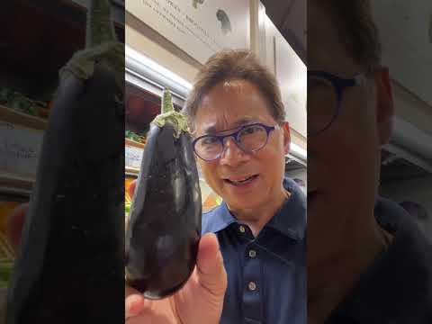 The Truth about Eggplants and Toxic Nightshades | Dr. William Li