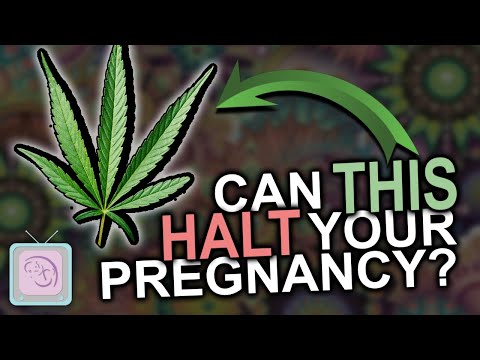 Can you smoke pot when TTC? Some REALLY surprising findings about marijuana and fertility