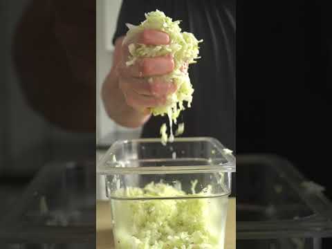 Let's make Sauerkraut! (Fermentation 101)