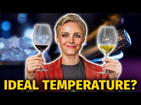 Are You Serving WINE at the RIGHT Temperature? | 6 Tips & Rules