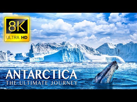 ANTARCTICA The Ultimate Journey in 8K ULTRA HD