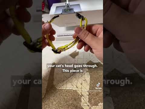 Cat Collar Breakaway Instructions