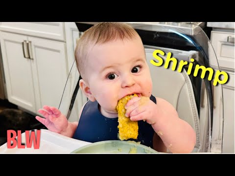 Maverick tries Shrimp - Baby Led Weaning (7 months)