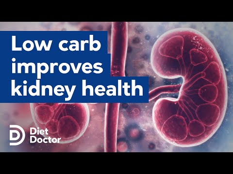 Low carb diets improve kidney health